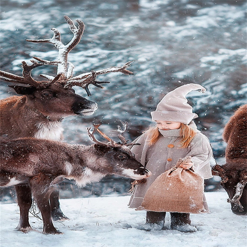 雪乡+漠河纯玩10日“爸爸去哪儿”大雪谷+雪乡+马拉爬犁+雪圈畅玩 - 定制游预订