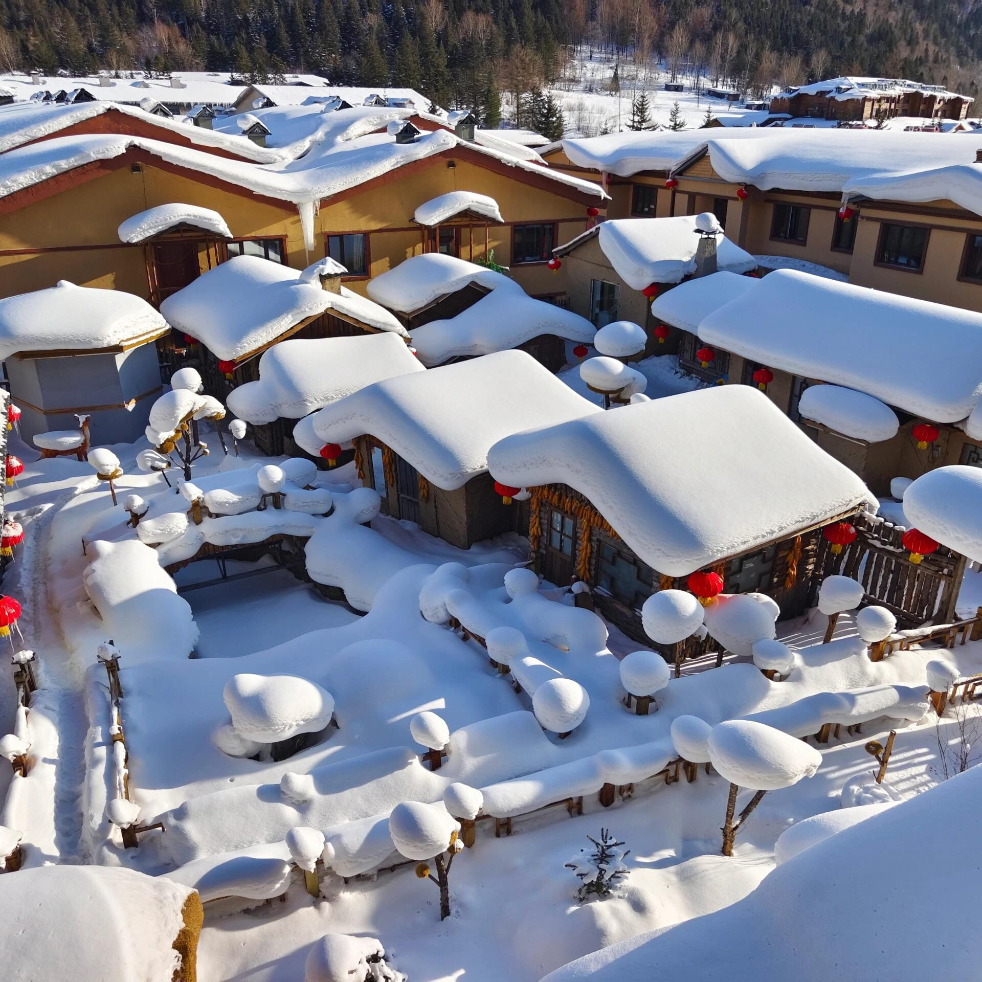 2-8人哈尔滨+吉林纯玩7日/长白山-延吉-雪乡-漂流-冬捕-雪圈-滑雪 - 定制游预订