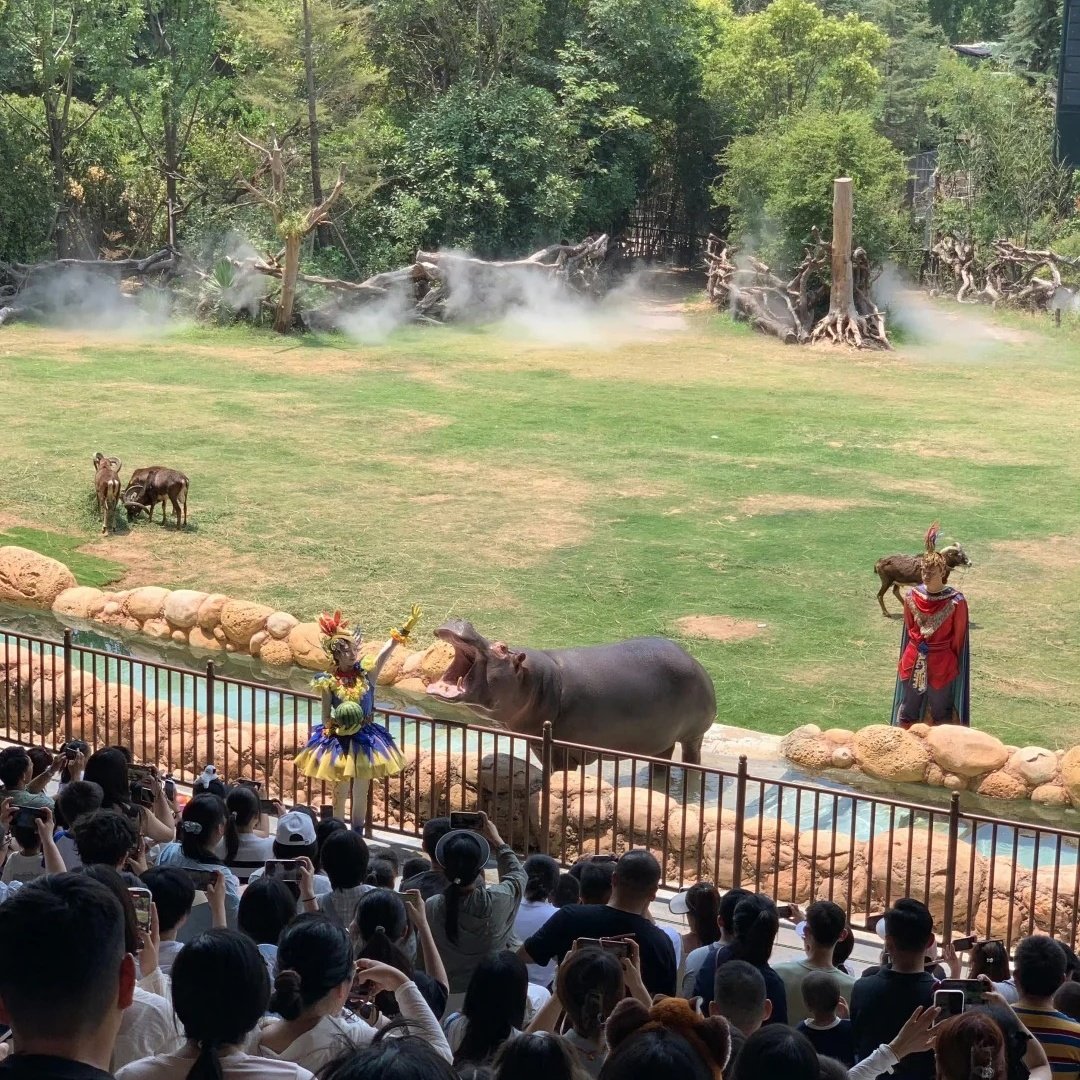 郑州银基黄帝宫御温泉酒店(动物王国店)住宿+郑州银基动物王国成人门票