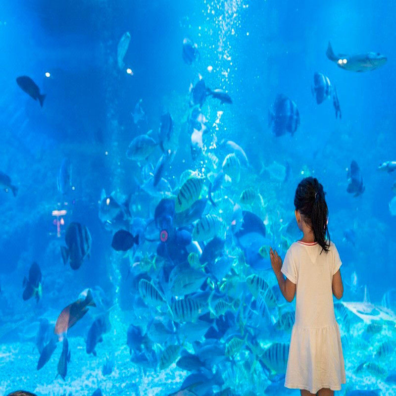 三亚自由行5天4晚含4晚海边酒店+景点门票+旅游车接送