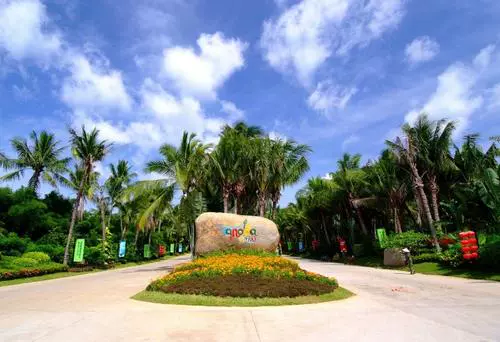 三亚热带雨林广场图片