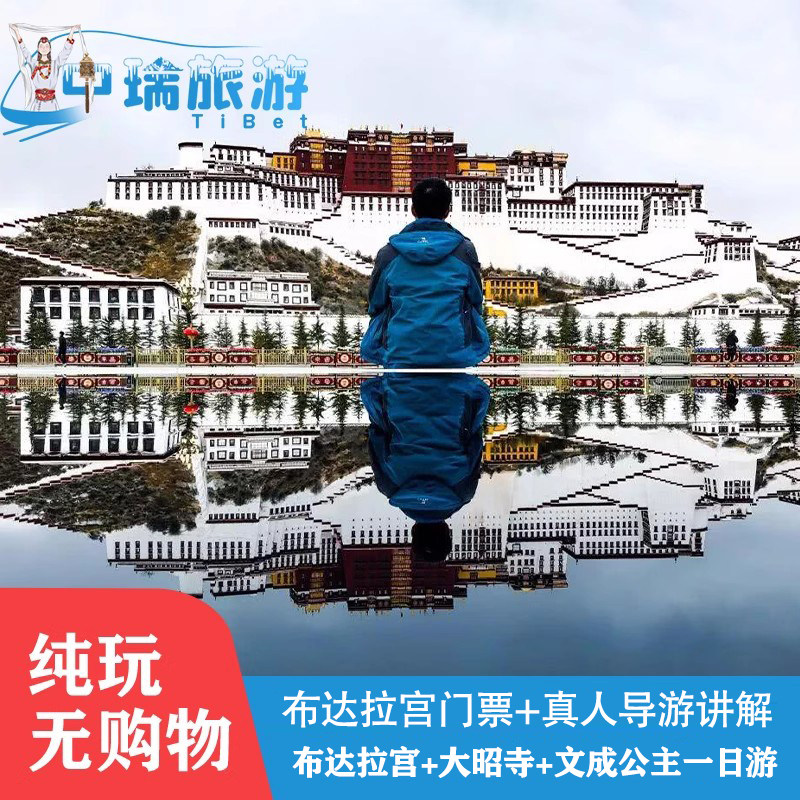 布达拉宫门票1号线讲解预约订西藏拉萨旅游一日纯玩团布宫大昭寺 - 定制游预订
