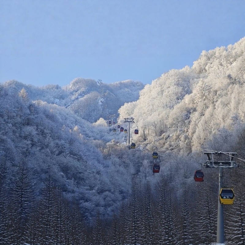 【宿五星伊水湾】 洛阳栾川3天2晚尊享之旅:老君山+鸡冠洞+汉服体验