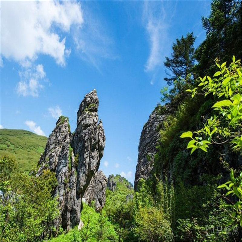 湖北旅游纯玩6天5晚跟团神农架神农顶屏山峡谷恩施大峡谷 - 定制游预订