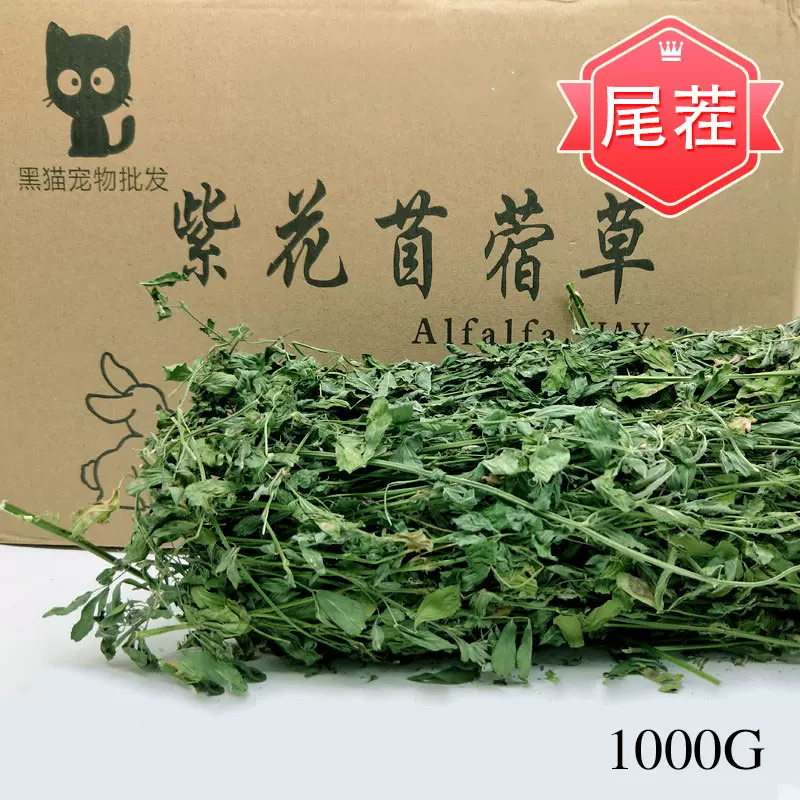 吱娃22新草精選紫花苜蓿草熱風烘乾龍貓兔兔子