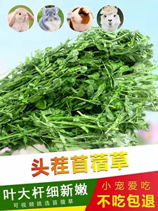 alfalfa grass Latest Best Selling Praise Recommendation | Taobao 