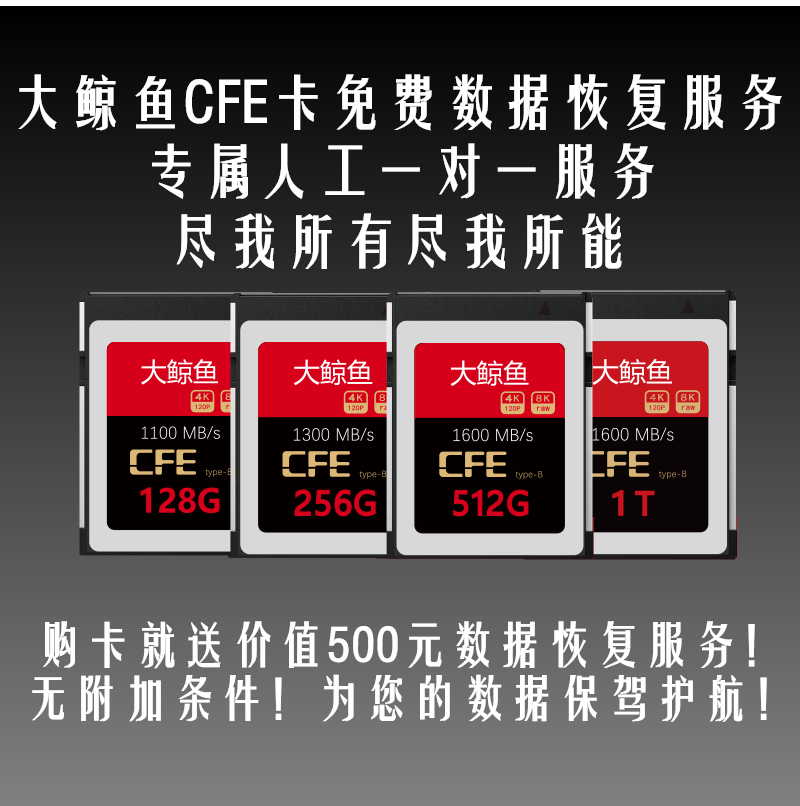 BIG WHALE ̿ CFEXPRESS CFE ޸ ī 512GB1TB CANON R5 1DX3 NIKON Z6Z7D6-