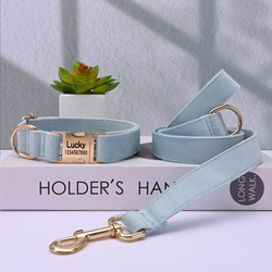 Dog Collar, Neck Collar, Small Size Dogs, Bichon Frise, Teddy, Medium-Sized Dogs, Corgi, Shiba Inu, Adjustable, Engraved, Anti-Lost Dog Collar