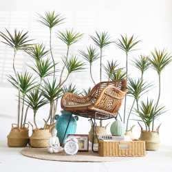 Simulated Tropical Green Plant Potted Plant, Millennium Tree, Fake Dragon's Blood Tree, Shop, Restaurant, Hotel, B&B, Indoor and Outdoor Landscaping Decoration