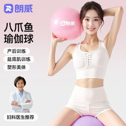Langwei Pelvic Floor Muscle Training Ball for Adults, Pilates Small Ball, Postpartum Core Training, Shaping Fitness Yoga Ball