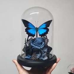 Butterfly Specimen in Glass Dome, Handmade Birthday Gift, Dried Flowers, Preserved Flowers, Dark Rose