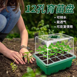 Three -piece set of polynuts and breeding pots to cultivate breeding box moisturizing and breeding seedlings, 12 -hole plastic breeding box lid