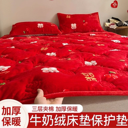 Milk Velvet Bed Pad, Soft Cushion for Home Use, Foldable, Thickened for Winter, Warm Tatami Mattress, Special for Weddings