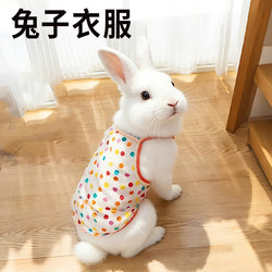 Rabbit Clothing for Summer, Dwarf Rabbit Outfits, Fancy Dress Costumes, Cool Clothes for Lop-Eared Rabbits, Cooling Apparel for Pets
