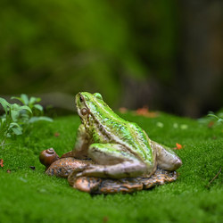 Large Artificial Frog Lying on a Stone, Garden Water Feature Decoration, Rockery, Potted Plant, Micro-Landscape, Small Animal