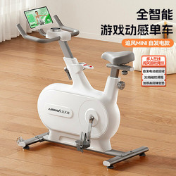 Lijiu Jia Self-Powered Exercise Bike, Indoor Small Fitness Bike for Weight Loss, Home Model Chui Feng Mini