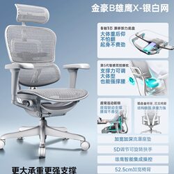 2026 New Genuine Baoyou Jinhao B Eagle X Ergonomic Chair Computer Chair Gaming Chair Office Chair