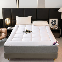 Feather Velvet Mattress Student Dormitory Single Bed Mattress Ultra-Thick Tatami Mat Non-Collapse Bedding Universal for All Seasons