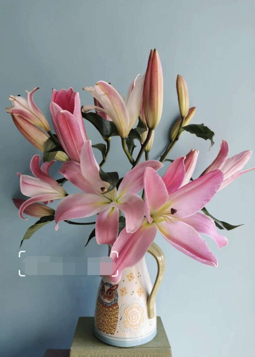 香水百合麦当娜花瓶鲜花客厅室内浓香观花云南基地直发包