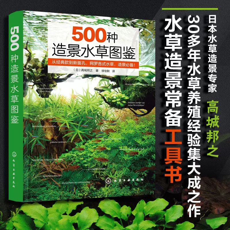 500种造景水草图鉴高城邦之前景草中后景草后