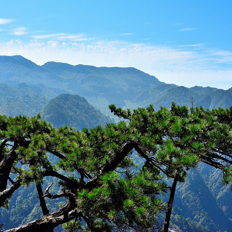 2-6江西私家团 景德镇婺源望仙谷三清山4天3晚纯玩游 全程4钻酒店