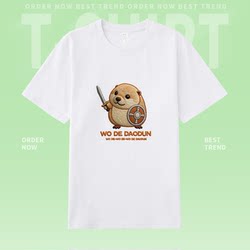 Imitation Embroidery My Sword and Shield Bibilab Summer Pure Cotton Short-Sleeve T-Shirt Unisex Loose Printed Trendy Top