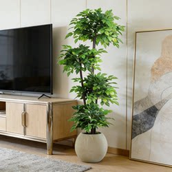 Simulated Green Plants for the Living Room, Large Potted Plants Next to the Tv Cabinet, Indoor Light Luxury Decoration, Artificial Plants, Floor-Standing Decorative Ornaments