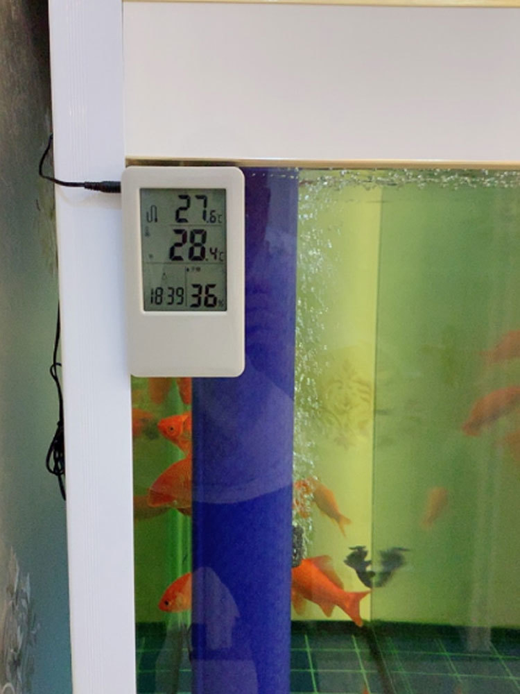 科舰 鱼缸水族专用高精度湿度报警水温计