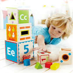Hape Knowledge Box Children's Educational Toys 2 Years Old + Baby Infant Early Education Building Blocks Large Wooden Boys And Girls