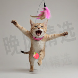 Head-Mounted Self-Entertaining Cat Teaser Stick, Automatic Cat Toy Gadget, Boredom-Relief and Energy-Consuming Collar Accessory