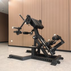 Commercial Roman Chair, Goat Chair, Fitness Chair for Waist and Abdominal Training, Goat Stand-Up Exercise, Prone Reverse Leg Lift, Ghd