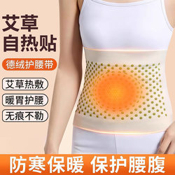 Mugwort Heating Waist Belt for Men and Women, Waist and Abdomen Belt for Warmth, Protects the Stomach from Catching Cold, Hot Compress for Menstrual Pain Relief, Warms the Uterus and Prevents Cold