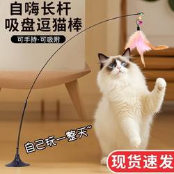 Cat Toy Teaser Wand Self-Entertainment Boredom Buster with Suction Cup Long Rod Pet Kitten Play Supplies Collection