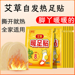 Warm Foot Patches, Warm Foot Pads, Mugwort and Ginger Foot Warmers, Foot Warmers, Shoe Insoles, Foot Warming Artifacts, Winter Hot Compresses