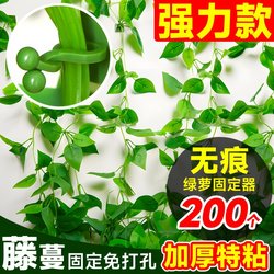 Green Plant Wall Climbing Fixer, Green Plant Climbing Tool, Wall Climbing Artifact Clip, Wall Traceless Hook, Sticky Climbing Vine Pole