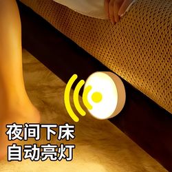 Human Body Automatic Sensing Night Light, Lights up When People Approach, Night Corridor and Staircase Wall Light, Entryway Door Light, 2024 New Model