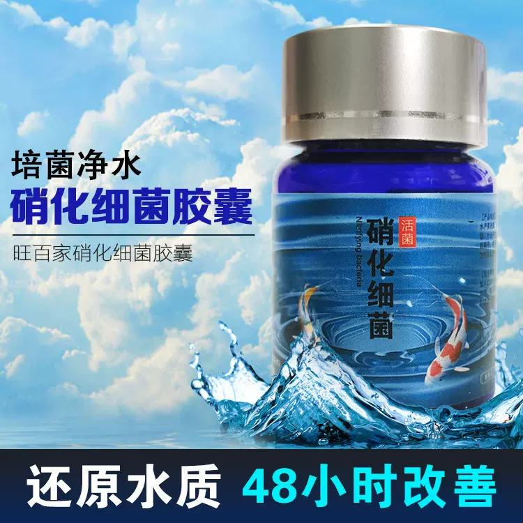 旺百家硝化细菌胶囊锦鲤专用鱼池鱼缸海水缸净化水质杀菌