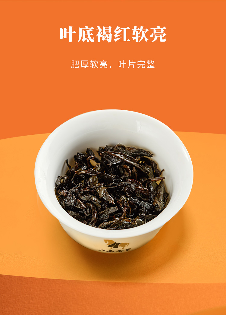 武夷岩茶 大紅袍 烏龍茶 ギフトボックス - 256g - 八馬