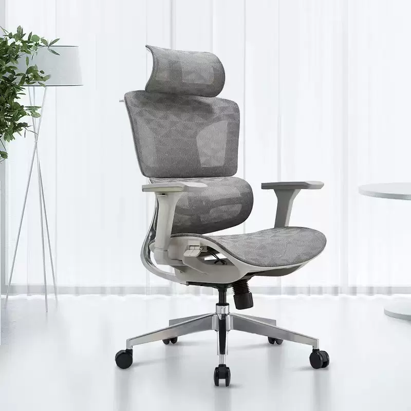 MUA GHẾ CÔNG THÁI HỌC TẠI LÀO CAI