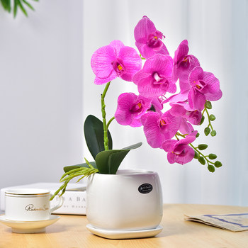 Floral ornaments in Xilaica Phalaenopsis Models are many styles
