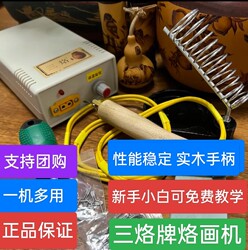 Authentic Sanlue Brand Pyrography Machine, Same Model as on Douyin and Xiaohongshu, for Pyrography on Gourd, Bamboo, and Wooden Boards, Direct Supply from the Manufacturer