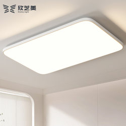 Xinzhimei Eye Protection Led Ceiling Light Modern Simple Rectangular Living Room Bedroom Light Study Light Dining Room Balcony Light