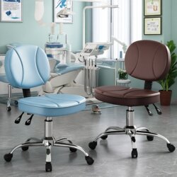 Rotating Adjustable Dentist Chair, Japanese Work Chair, Dental Nurse Chair, Laboratory Manicure Imported Beauty Chair