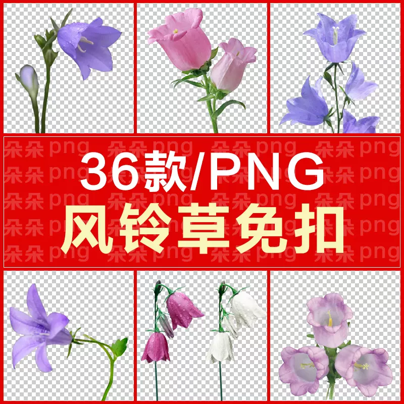 金钟花免扣png高清ps素材透明背景风铃草花卉吊钟花设计