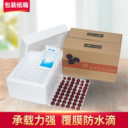 2.5-3kg Pieces of 3.2cm Diameter Water Chestnut and Bayberry Packaging, Universal for Shunfeng Express, Special Foam Carton Gift Box Wholesale
