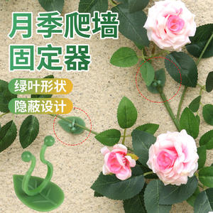
Rose climbing wall fixture green radish climbing vines on the wall without damaging the wall climbing wall flower climbing up the magical artifact rose green plant clamp