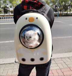 Cat Carrier Portable Pet Travel Bag Space Capsule Backpack Chest Dog Carrier Pet School Bag Pet Supplies 