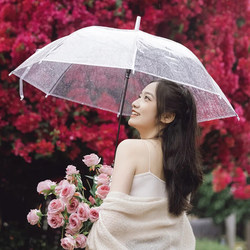 Large Transparent Umbrella, Fresh Style, Automatic Long Handle, Double Use, Wind-Resistant, Rainproof, Photo Prop