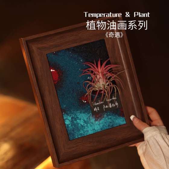
<Qiyu> Room temperature original oil painting air pineapple art decoration lazy plant ornaments meaning birthday gift