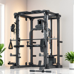 Smith Machine Gantry Multi-Functional Comprehensive Training Equipment Commercial and Home Use Combination Bird Press Chest Rack